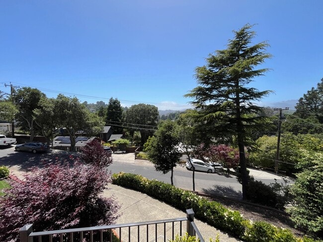 Building Photo - INCREDIBLE, MUST SEE MILL VALLEY THREE BED...