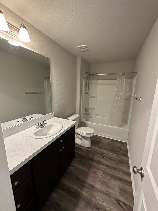 Building Photo - Beautiful home in Converse