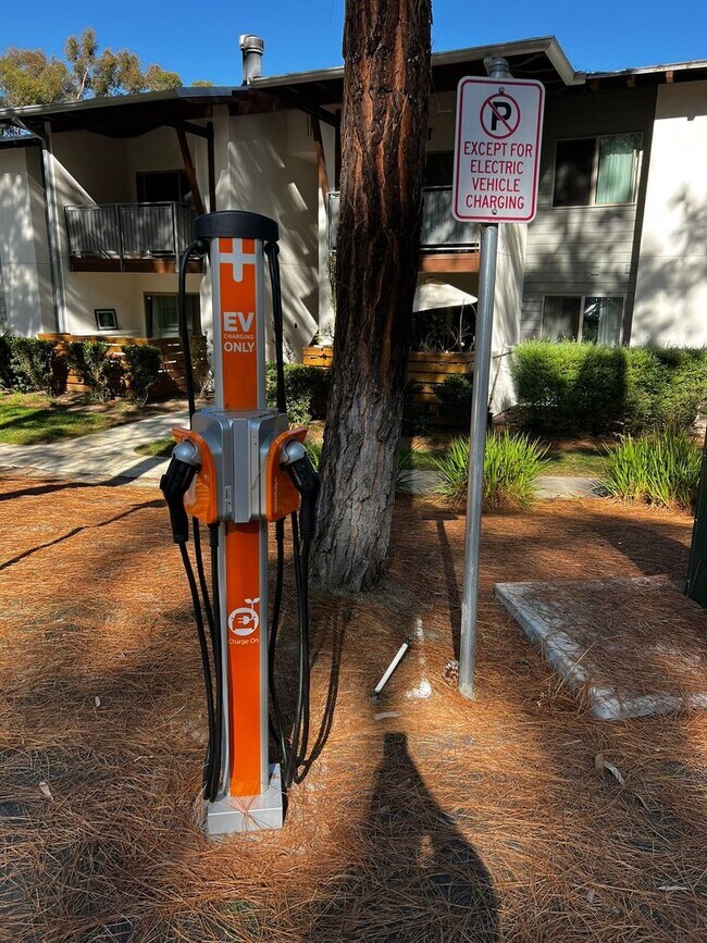 Building Photo - 1 BR 1 BA Condo in Encinitas, Gated Comple...