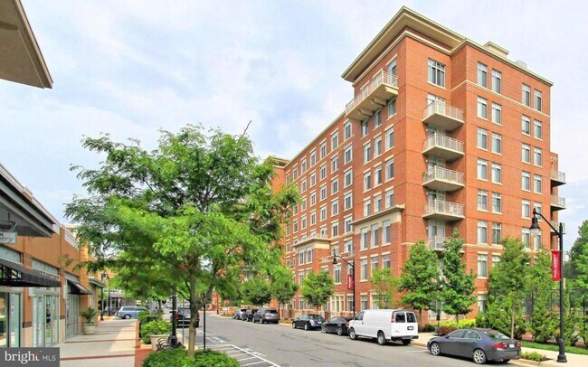 Building Photo - 4480 Market Commons Dr