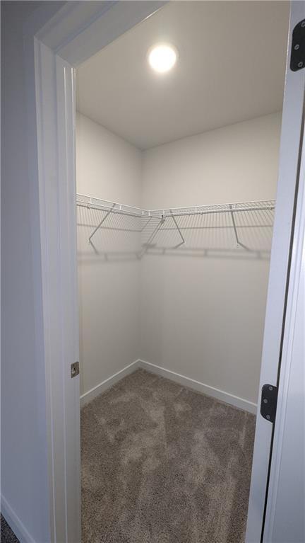 Building Photo - 1732 Harper Lily Ln