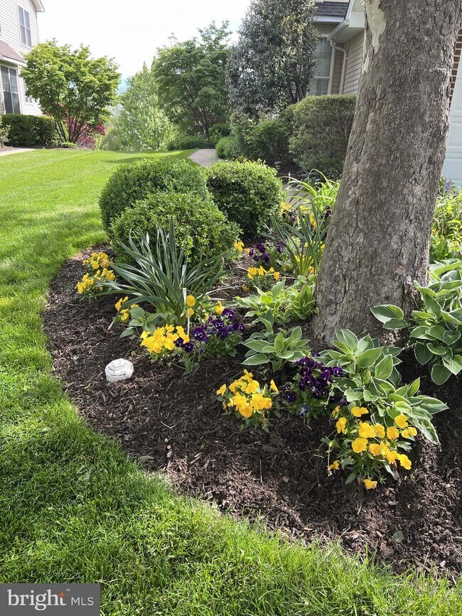 Building Photo - 2303 Dorchester St W