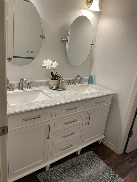 Guest Bathroom Vanity area - 11500 February Drive