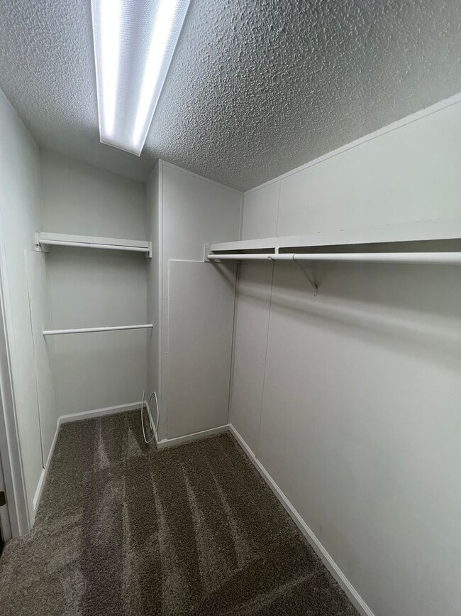 Building Photo - 3 Bedroom/2 Bathroom Home on 1 Acre of Land