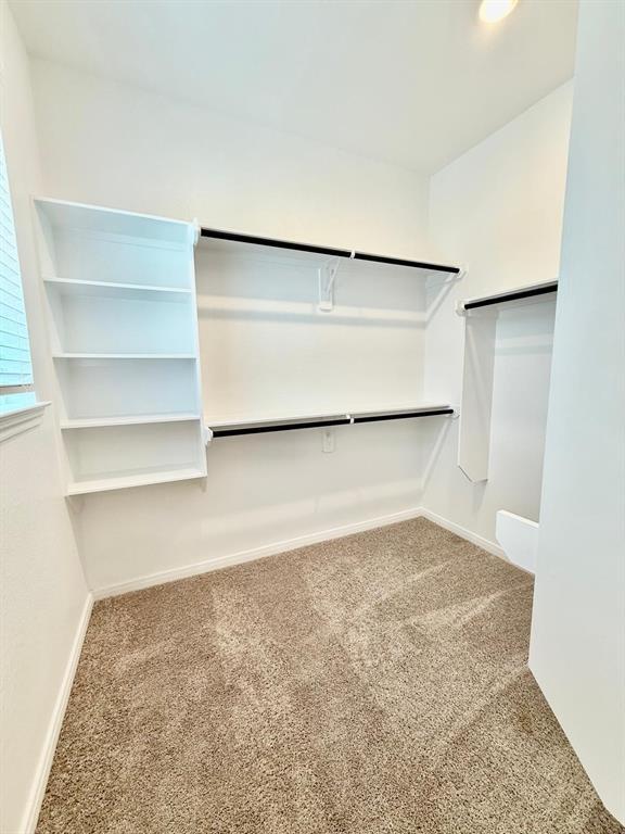 Building Photo - 216 Cider Gum Pl
