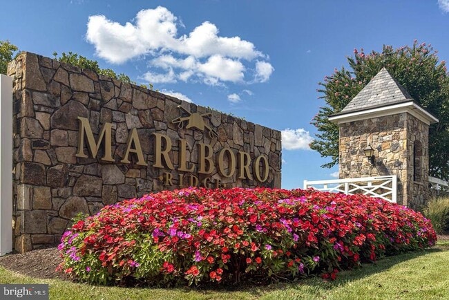 Building Photo - 4512 Grazing Way