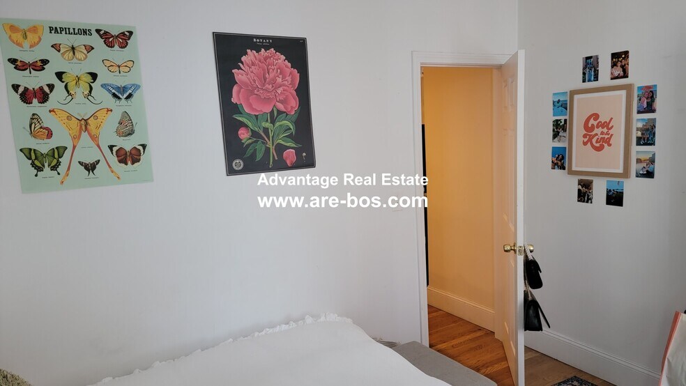 Building Photo - 66 Egmont St