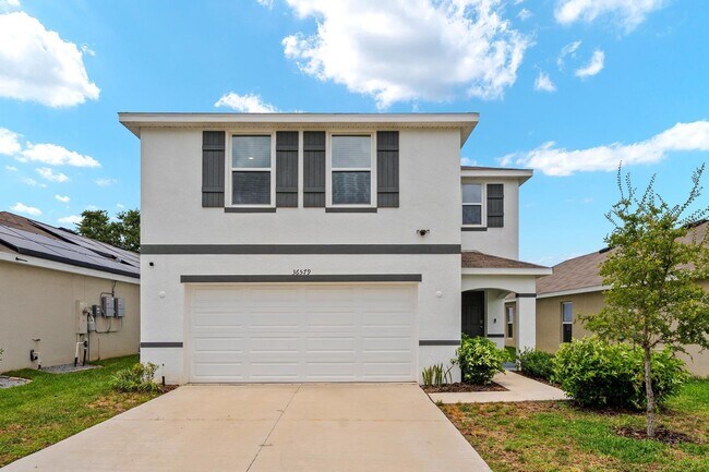 Building Photo - 36579 Spanish Rose Dr