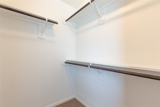 Building Photo - 24630 Bastiani Canvas Ln