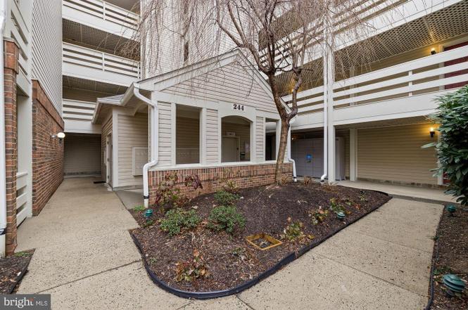 Building Photo - 244 S Reynolds St