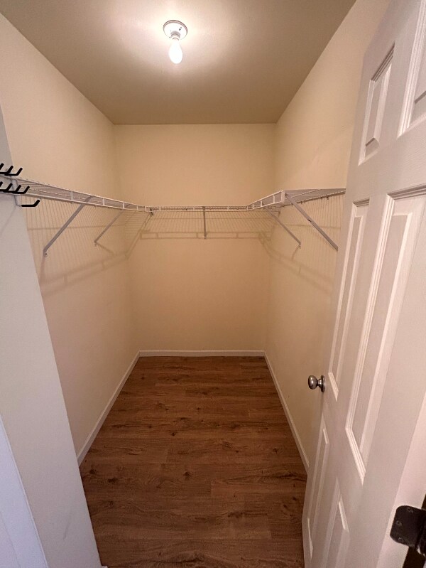 Building Photo - 122 Sonata Cir