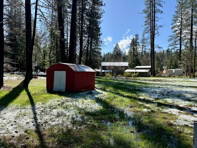 Building Photo - Wooded 2 bedroom cabin in nice neighborhood