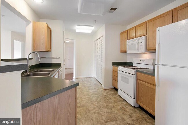 Building Photo - 502 Bradley Ct