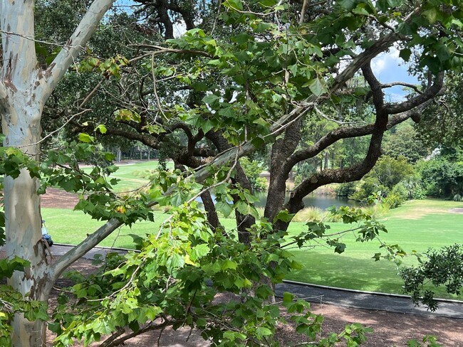 Building Photo - Walk to the Beach! Beautifully Remodeled/F...