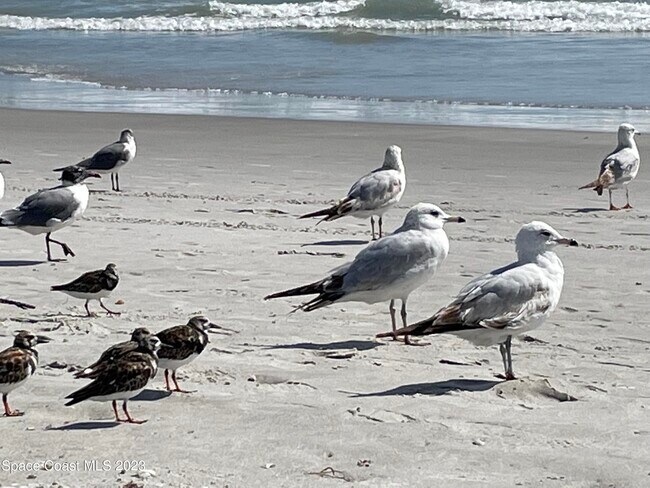 Building Photo - 2924 Pebble Creek St