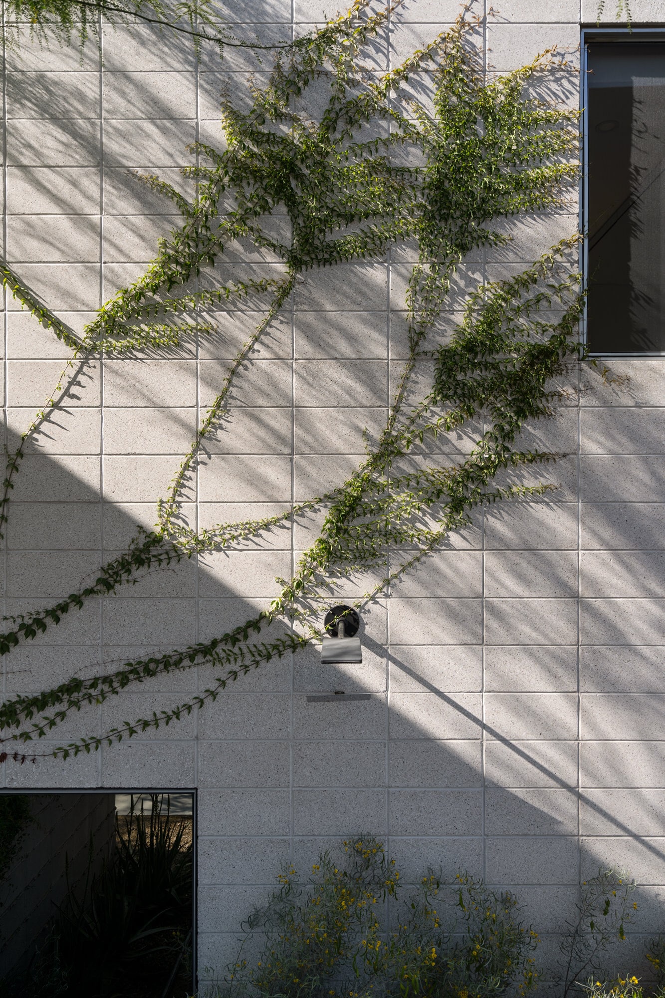 Building Photo - 818 W McKinley St