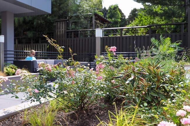 Building Photo - 1340 Boylston St