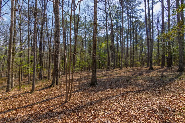 Building Photo - 1026 Denney Rd