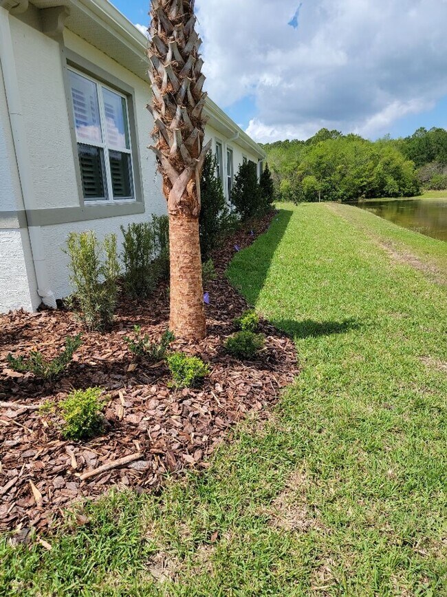 Building Photo - Palm Coast Plantation