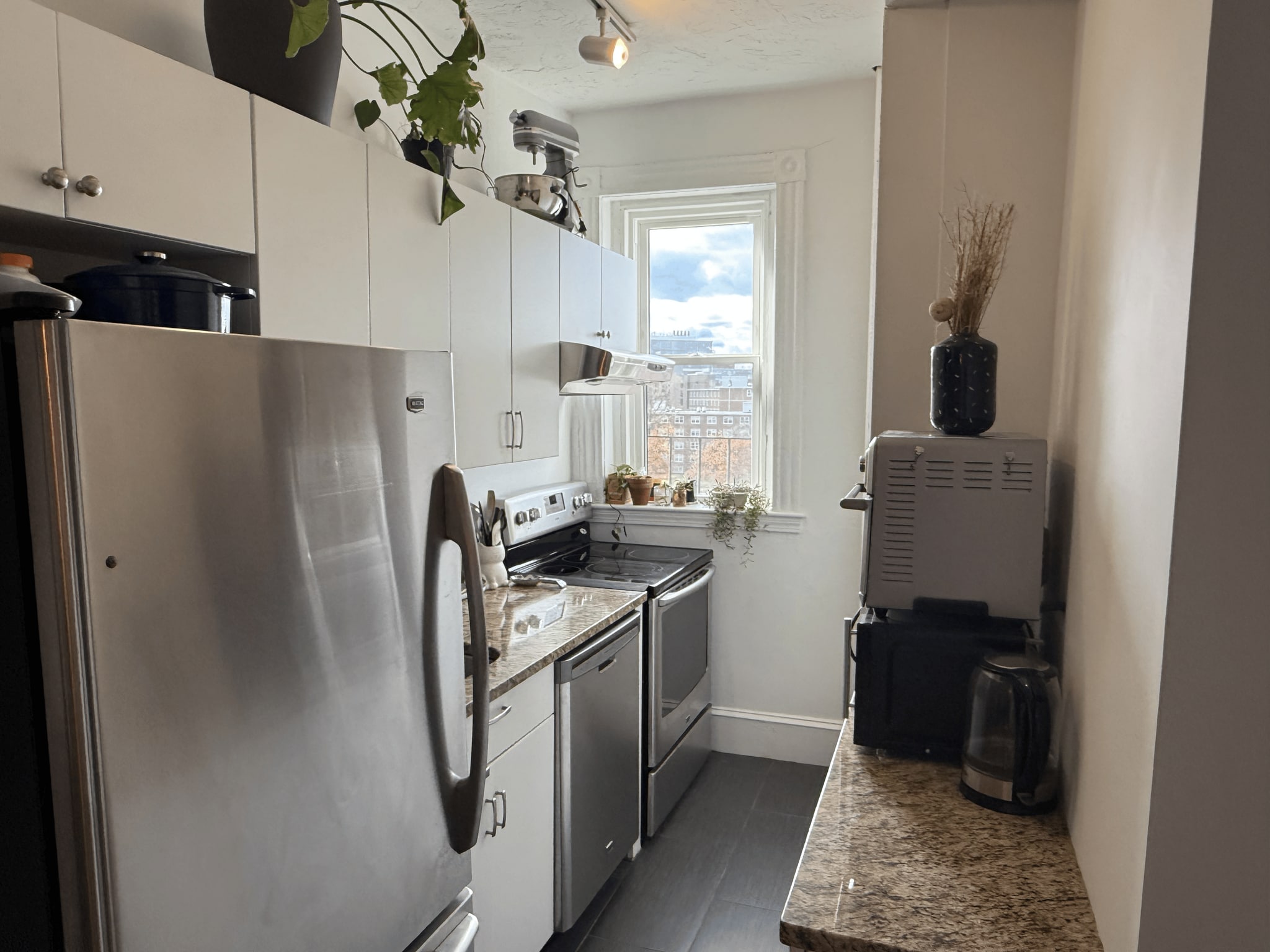 Kitchen - 137 Peterborough Street