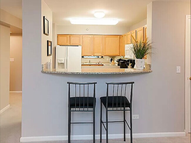 Building Photo - 345 N La Salle Dr