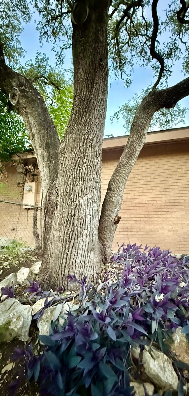 Building Photo - 1000 Hillyer St