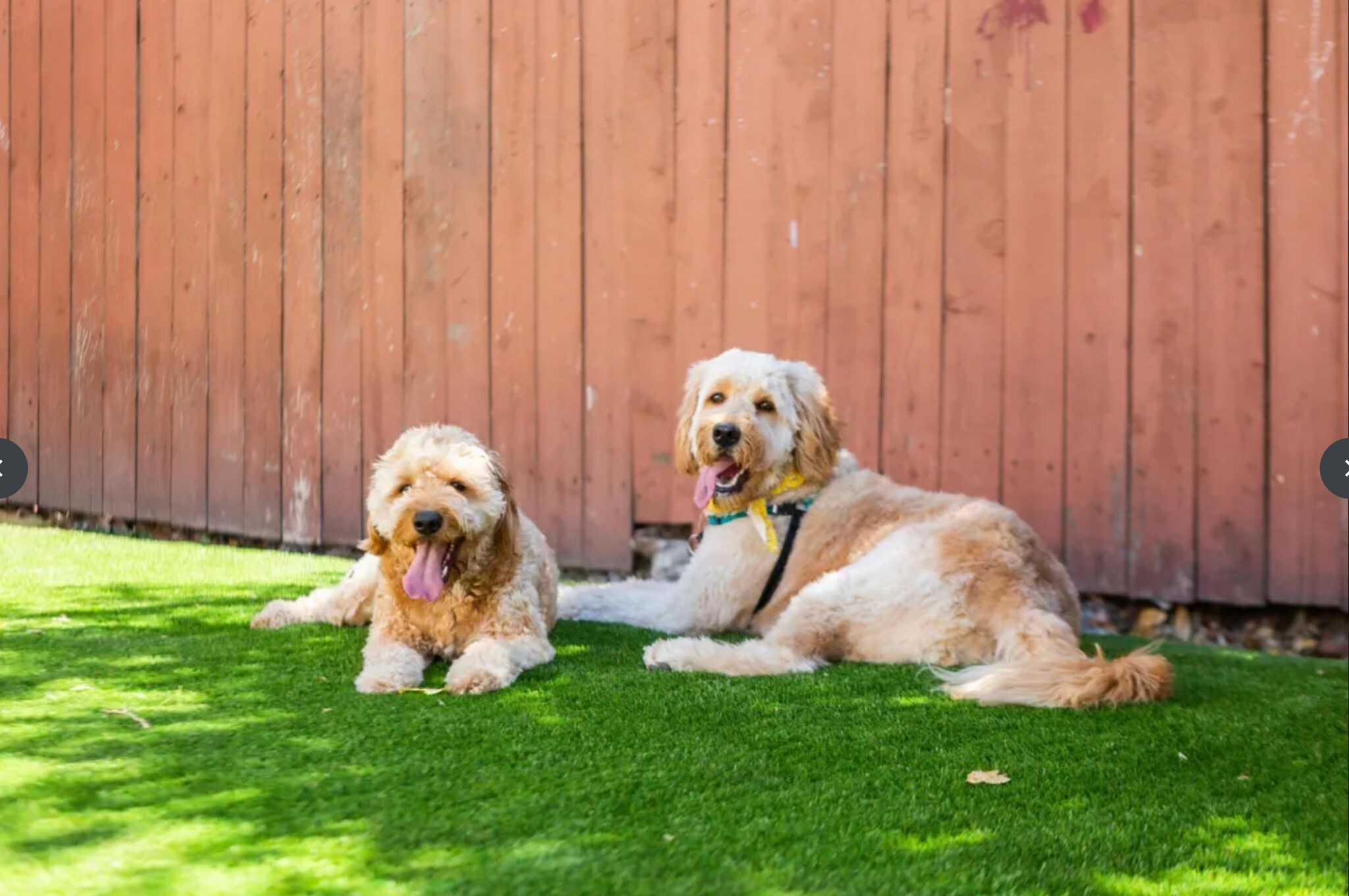 Pets allowed with Deposit. - 3206 Darwin Ave