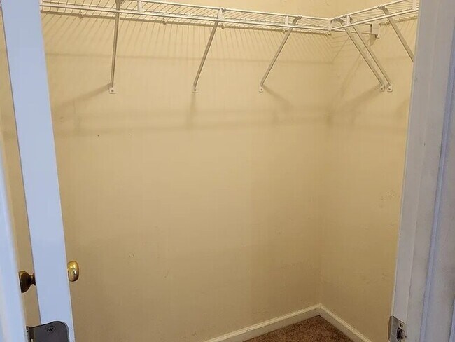 Building Photo - 429 Buttonbush Ct