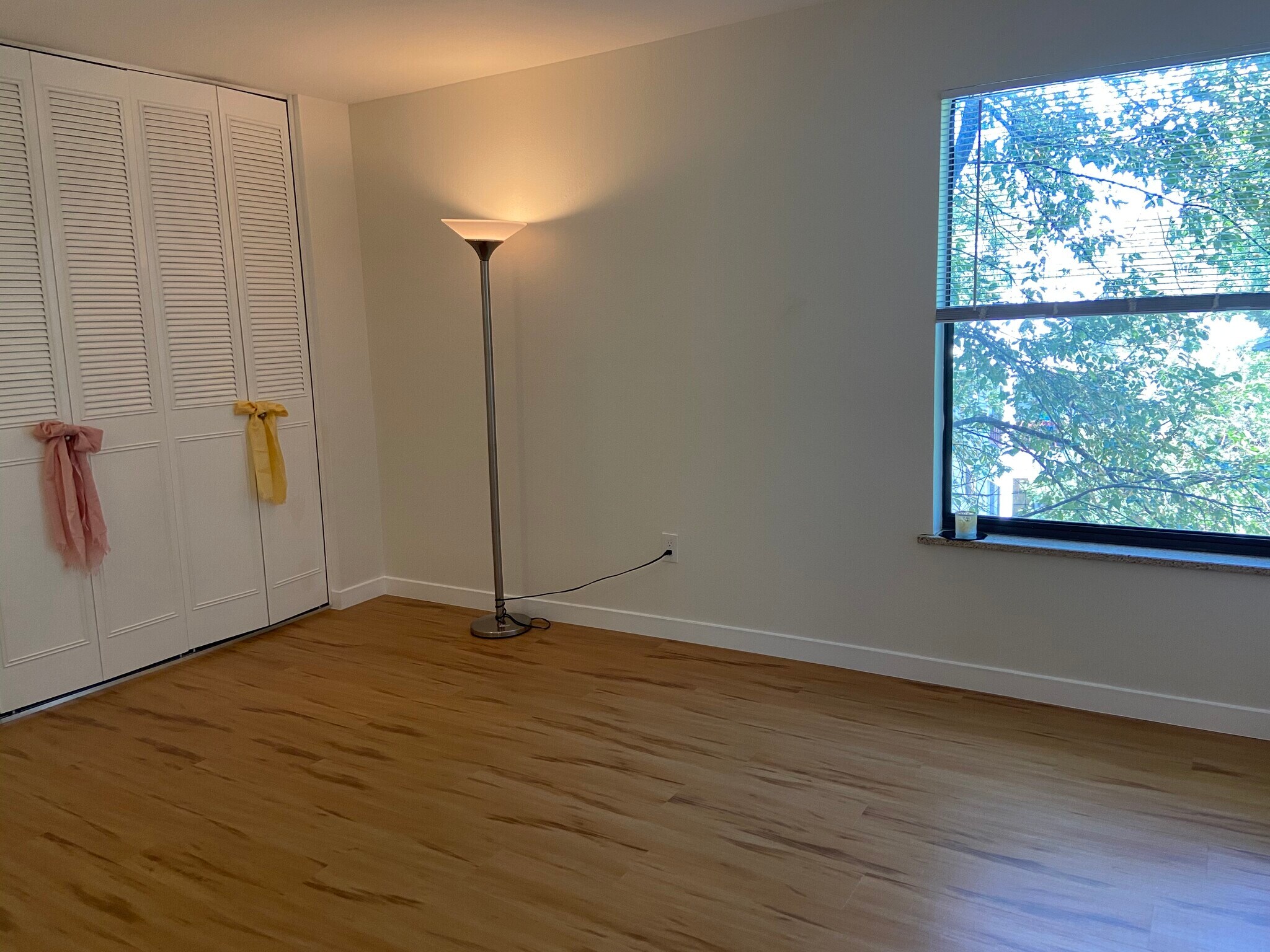 Primary Bedroom with large private tree top window - 2227 Canyon Blvd