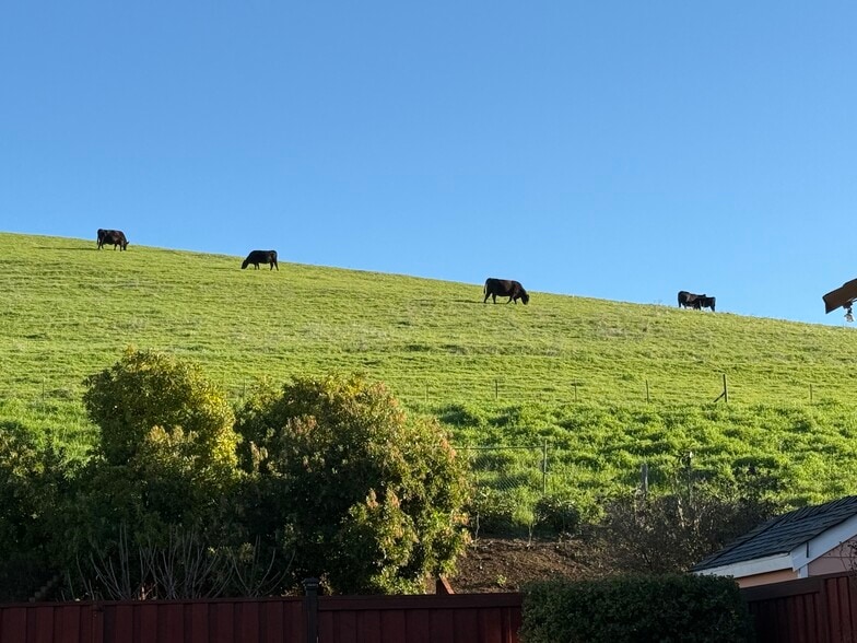 Building Photo - 2033 Silvercrest Dr