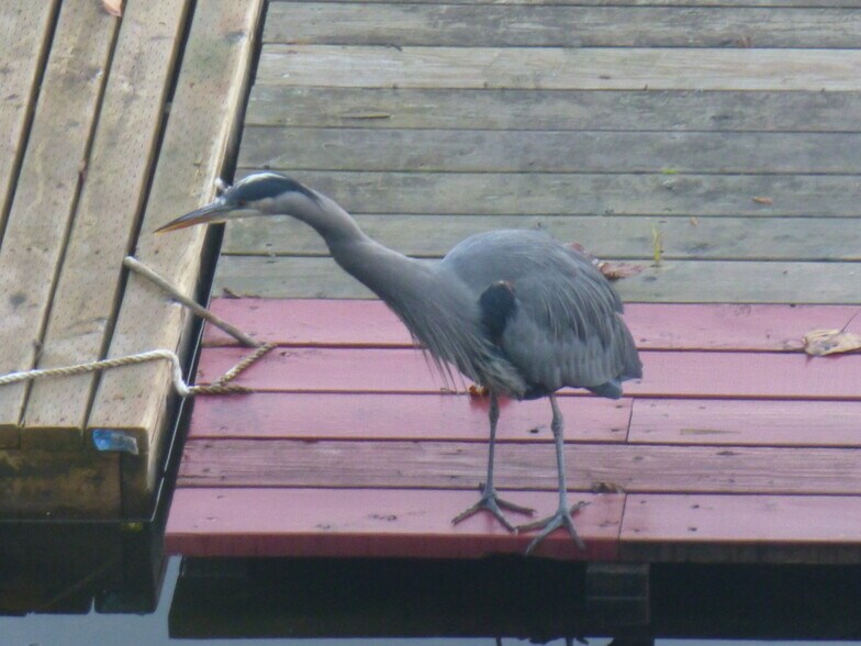 Building Photo - 1611 Vernon Rd