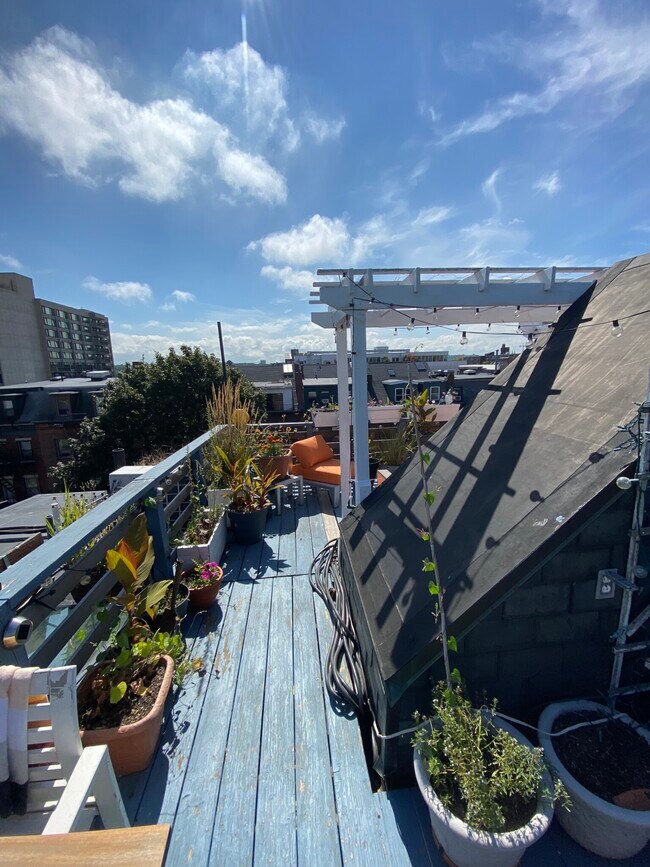 Building Photo - 52 E Springfield St