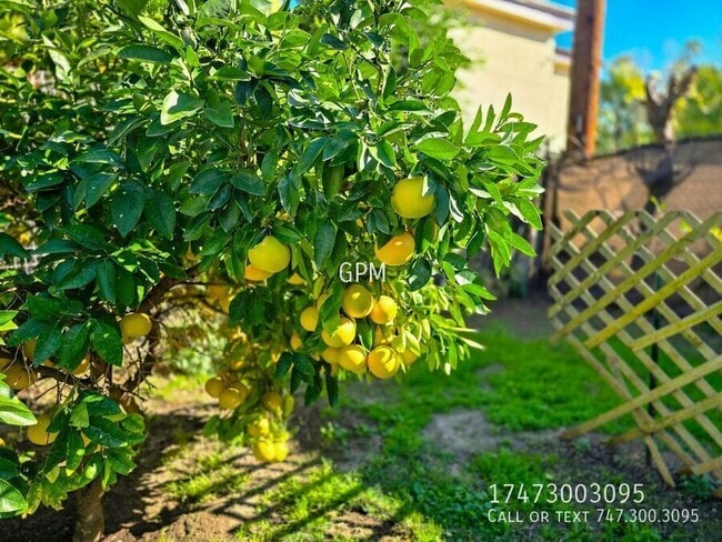 Building Photo - 1320 E Maple St