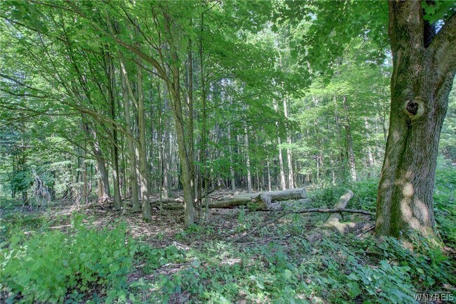 Building Photo - 5880 Draudt Rd