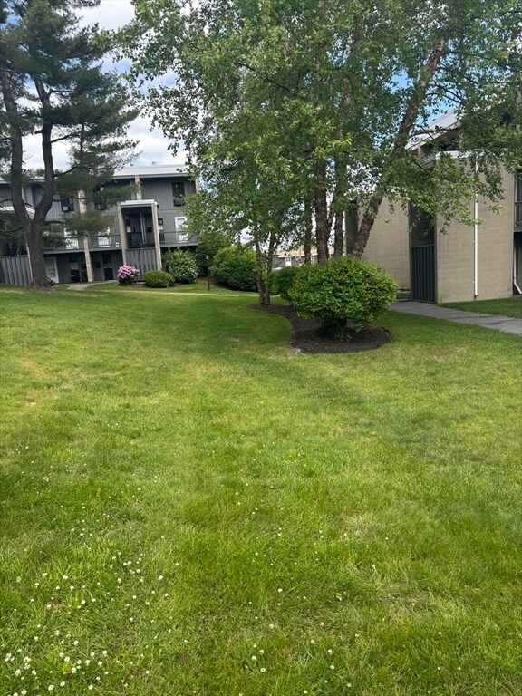 Building Photo - 315 Neponset St