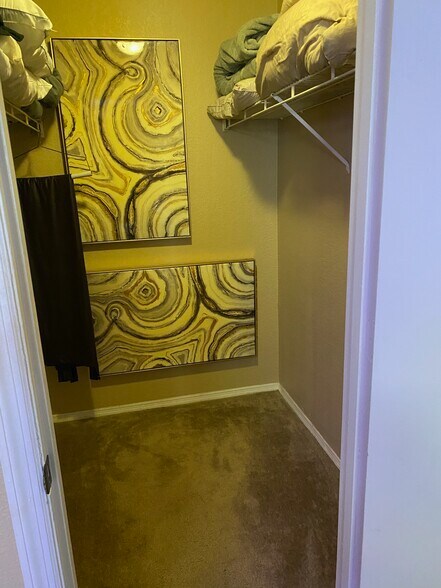 walk in closet view - 2550 N Alafaya Trl