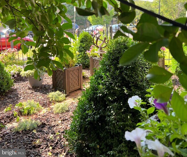 Building Photo - 721 12th St SE