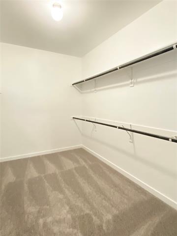 Building Photo - 4011 Goldfinch Hvn