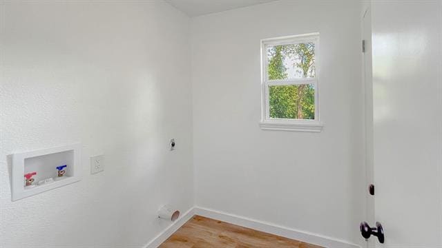 Building Photo - 309 Rosewood Dr