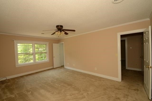 Building Photo - 113 Wesleyan Ct