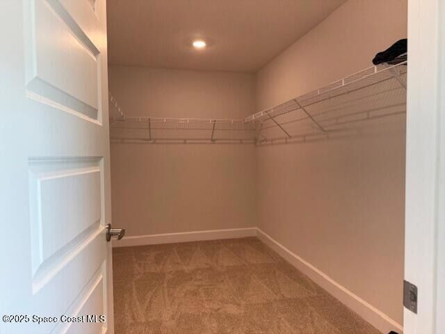 Building Photo - 1242 Tupelo Cir