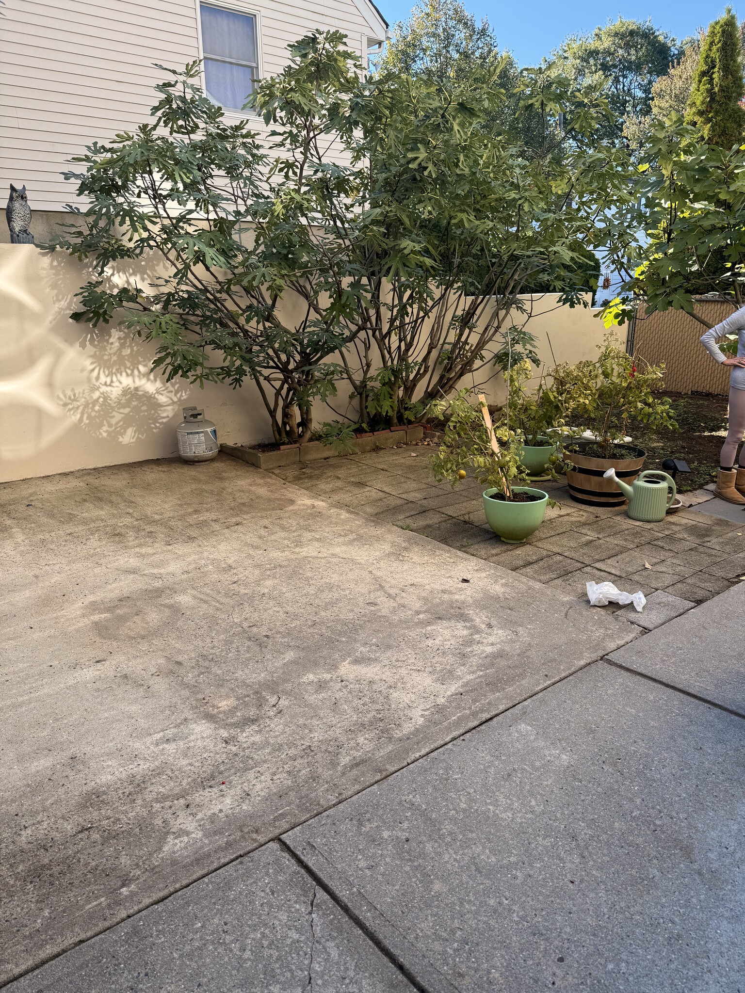 Side yard & entrance to 4th br - 424 Page Ave