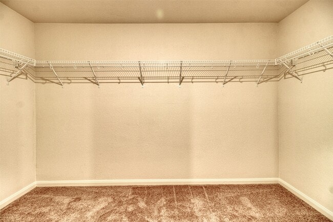 Building Photo - 8002 Vacek Meadows Loop