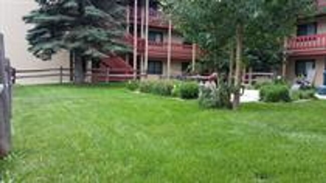 Building Photo - Downtown Breck 1bed/1bath.