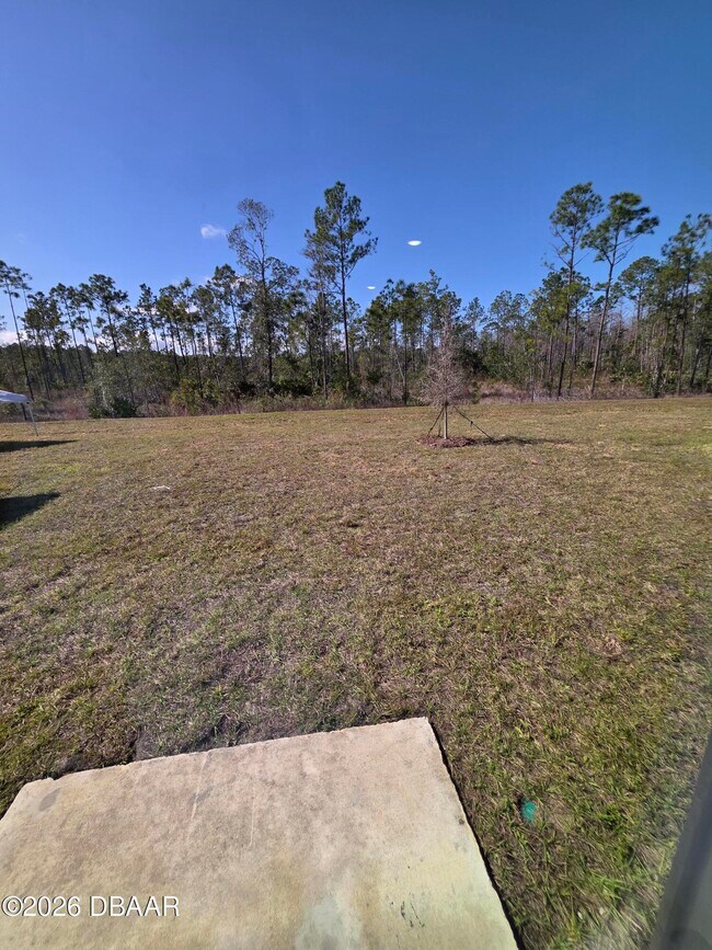 Building Photo - 1243 Belle Isle Ln