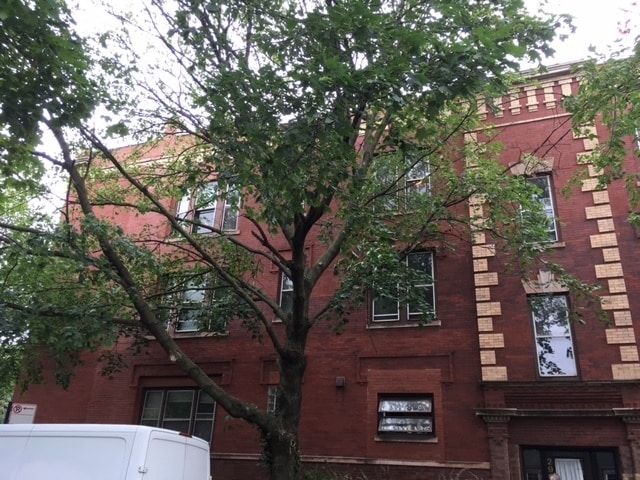 Primary Photo - 2906 N Greenview Ave