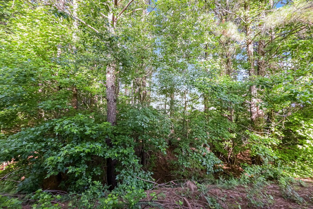 Building Photo - 6755 Hill Rock Ln