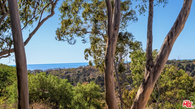 Building Photo - 6315 Gayton Pl