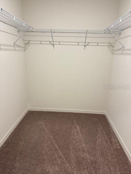 Building Photo - 317 Sunbrook Dr