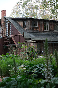 A garden view of the apartment staircase entrance - 11222 Arroyo Ave